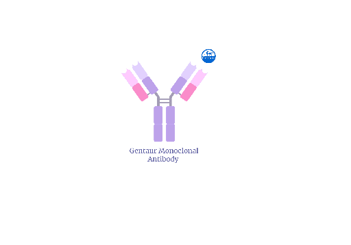 [57000] Mouse Anti-PEG mAb [Anti-Polyethylene glycol monoclonal antibody] - 50 ug